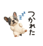 毎日つかえる かわいいフレンチブルドッグ（個別スタンプ：10）