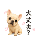 毎日つかえる かわいいフレンチブルドッグ（個別スタンプ：17）