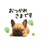 毎日つかえる かわいいフレンチブルドッグ（個別スタンプ：19）