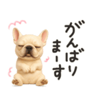 毎日つかえる かわいいフレンチブルドッグ（個別スタンプ：20）