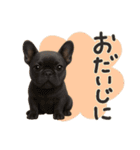毎日つかえる かわいいフレンチブルドッグ（個別スタンプ：24）