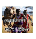 超毎日使えるマサイ族【面白い・ネタ】（個別スタンプ：10）