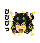 にゃん娘【黒】（個別スタンプ：38）