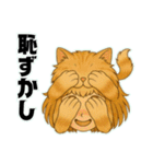 にゃん娘【茶虎】（個別スタンプ：20）