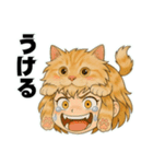 にゃん娘【茶虎】（個別スタンプ：22）