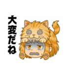 にゃん娘【茶虎】（個別スタンプ：31）