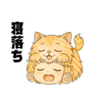 にゃん娘【茶虎】（個別スタンプ：34）