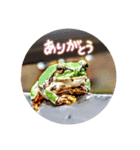 陽が昇り日が沈むまで気持ちの良い日だつた（個別スタンプ：3）