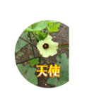 陽が昇り日が沈むまで気持ちの良い日だつた（個別スタンプ：6）