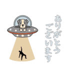 [ありがとうございます専用]UFOで宇宙犬1（個別スタンプ：6）