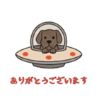 [ありがとうございます専用]UFOで宇宙犬1（個別スタンプ：10）