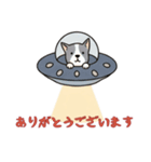 [ありがとうございます専用]UFOで宇宙犬1（個別スタンプ：15）