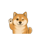 柴犬の日常23（個別スタンプ：2）
