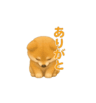 柴犬の日常23（個別スタンプ：3）