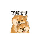 柴犬の日常23（個別スタンプ：6）