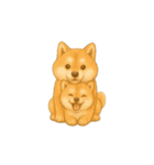 動く柴犬の日常無言（個別スタンプ：1）