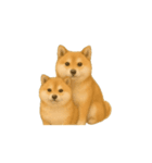 動く柴犬の日常無言（個別スタンプ：2）