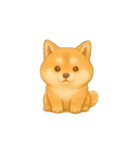 動く柴犬の日常無言（個別スタンプ：6）
