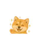 動く柴犬の日常無言（個別スタンプ：7）