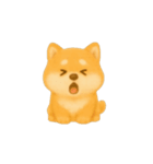 動く柴犬の日常無言（個別スタンプ：13）