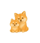 動く柴犬の日常無言（個別スタンプ：14）
