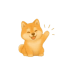 動く柴犬の日常無言（個別スタンプ：16）