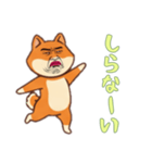 シバ犬おじさんの日常（個別スタンプ：2）