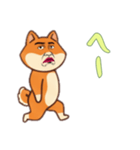 シバ犬おじさんの日常（個別スタンプ：4）