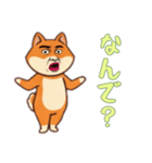 シバ犬おじさんの日常（個別スタンプ：11）