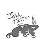 コーギーのリッチーくん（個別スタンプ：4）