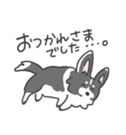 コーギーのリッチーくん（個別スタンプ：5）