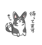 コーギーのリッチーくん（個別スタンプ：7）