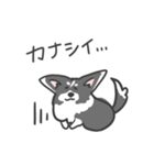 コーギーのリッチーくん（個別スタンプ：11）