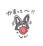 コーギーのリッチーくん（個別スタンプ：12）