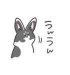 コーギーのリッチーくん（個別スタンプ：17）