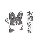 コーギーのリッチーくん（個別スタンプ：19）