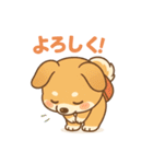 ゆる犬の毎日スタンプ♪使いやすい！（個別スタンプ：5）