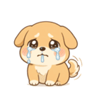 ゆる犬の毎日スタンプ♪使いやすい！（個別スタンプ：9）