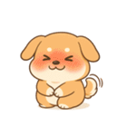 ゆる犬の毎日スタンプ♪使いやすい！（個別スタンプ：11）