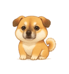 ゆる犬の毎日スタンプ♪使いやすい！（個別スタンプ：18）