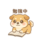 ゆる犬の毎日スタンプ♪使いやすい！（個別スタンプ：23）