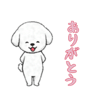 ビションフリーゼと一緒（個別スタンプ：1）
