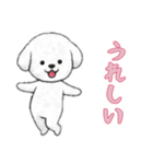 ビションフリーゼと一緒（個別スタンプ：2）