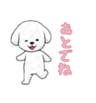 ビションフリーゼと一緒（個別スタンプ：3）