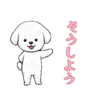 ビションフリーゼと一緒（個別スタンプ：5）