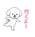 ビションフリーゼと一緒（個別スタンプ：6）