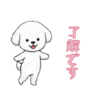 ビションフリーゼと一緒（個別スタンプ：7）