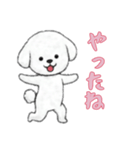 ビションフリーゼと一緒（個別スタンプ：10）