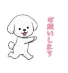 ビションフリーゼと一緒（個別スタンプ：11）