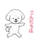ビションフリーゼと一緒（個別スタンプ：13）
